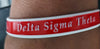 Delta Sigma Theta Silicone Wristband