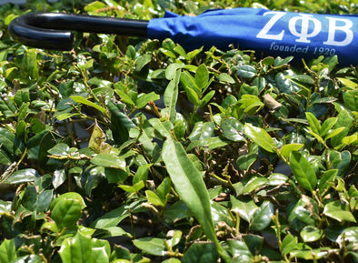Zeta Inverted Umbrella
