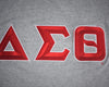 DST LS T-shirt 3D letters